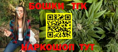 индика Заволжье