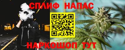 индика Заволжье