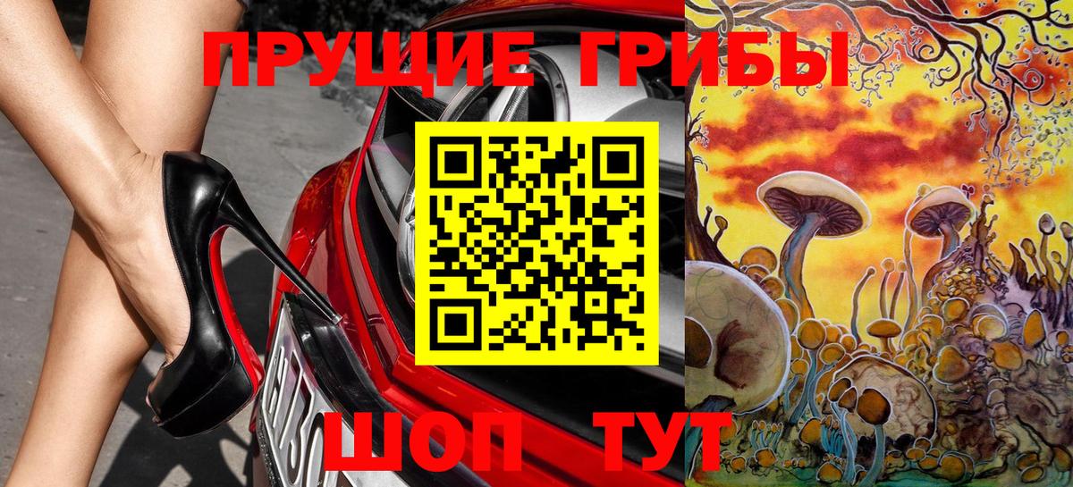 Галлюциногенные грибы прущие грибы  Вход с VPN  Галлюциногенные грибы Psilocybe  Лениногорск 
